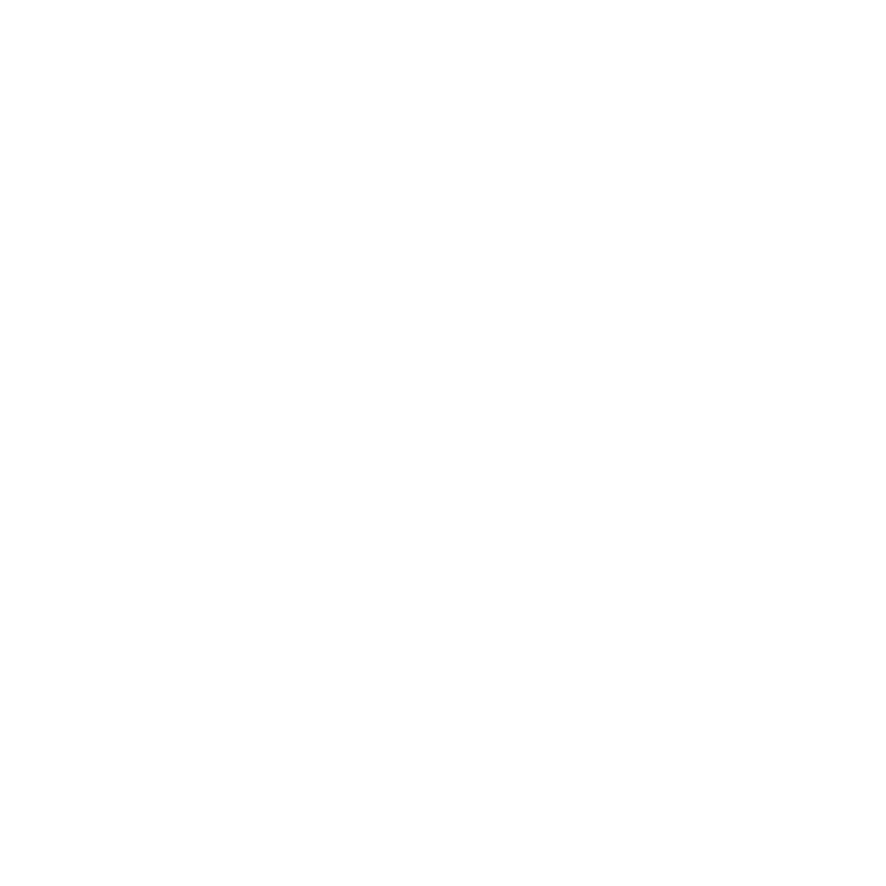 windvoels_logo_light